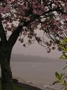 The rain made for a pretty dark, but still beautiful, morning walk along the lake.